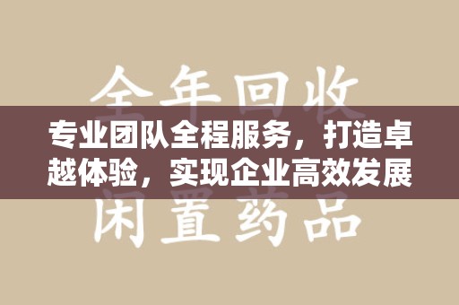 连云港专业团队全程服务，打造卓越体验，实现企业高效发展
