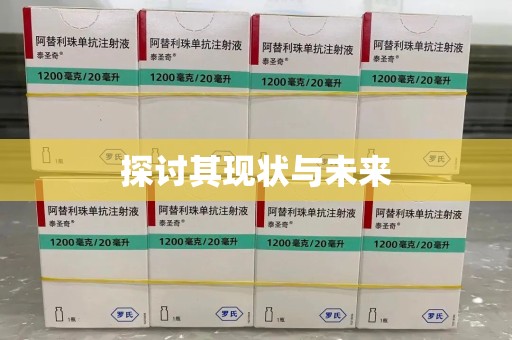连云港探讨其现状与未来