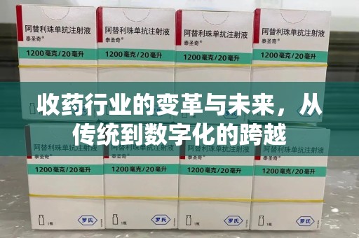 连云港收药行业的变革与未来，从传统到数字化的跨越