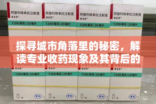 连云港探寻城市角落里的秘密，解读专业收药现象及其背后的故事